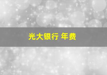 光大银行 年费